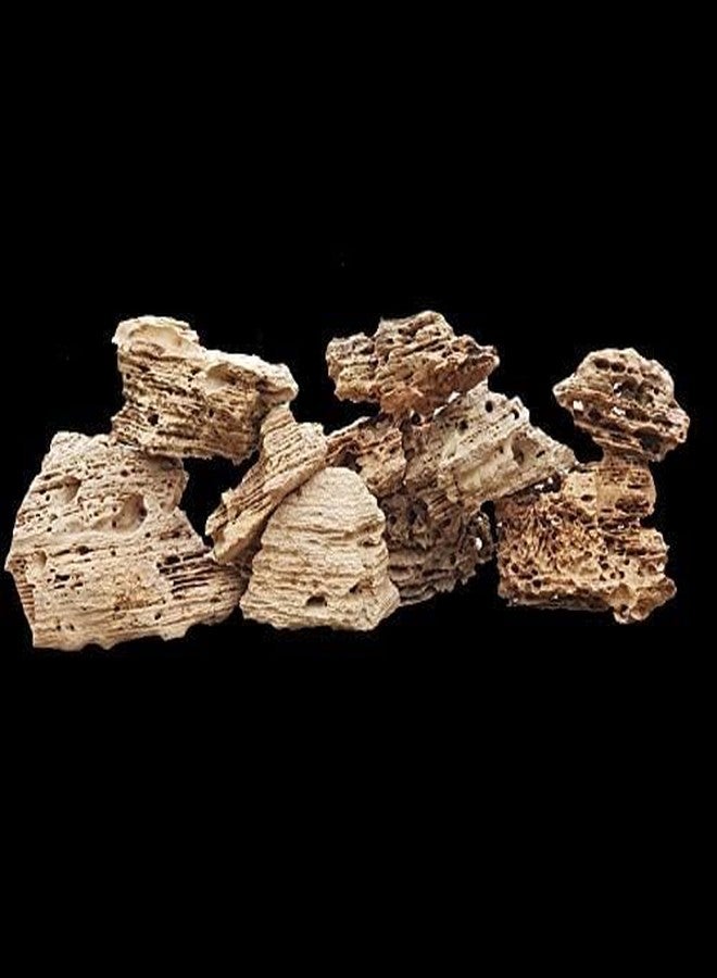 Maalavya 3Kg Layer Rock for Aquarium Decoration and Garden Decoration Reef Tank Setup ETC. - Image 1